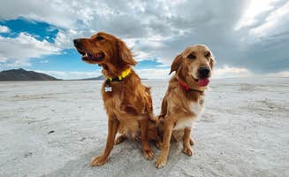 Kristina W.'s photo of camping with pets at Bonneville Salt Flats BLM near West Wendover, NV