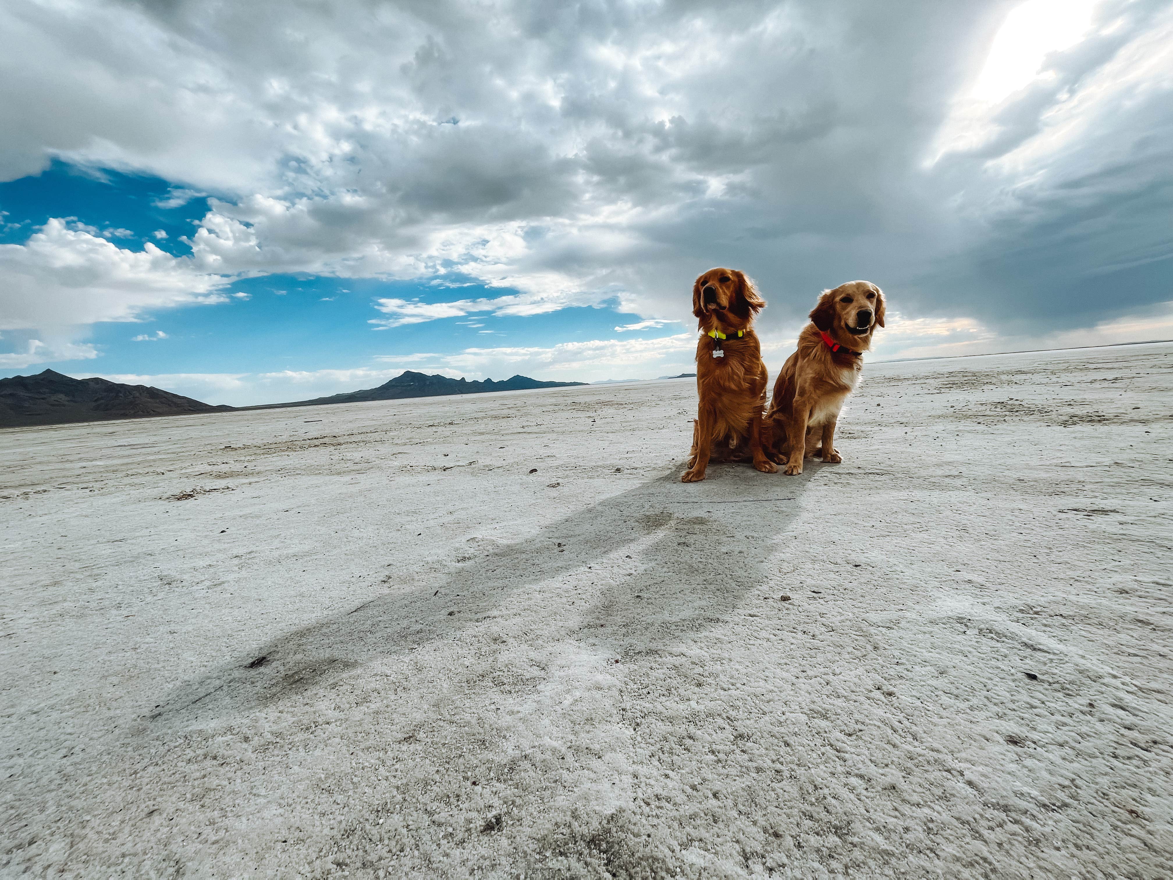 Camper-submitted photo at Bonneville Salt Flats BLM near West Wendover, NV