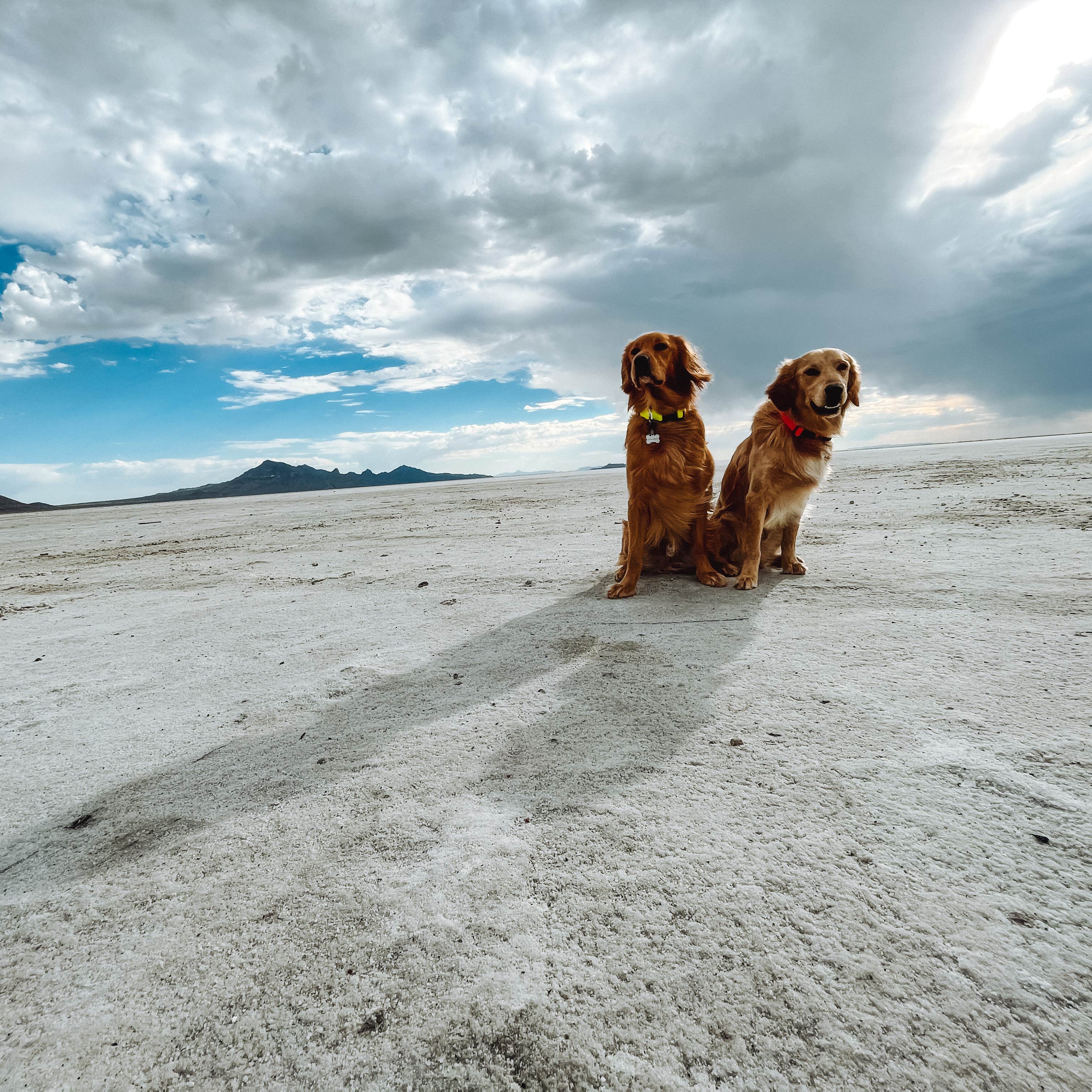 Bonneville Salt Flats BLM Camping The Dyrt