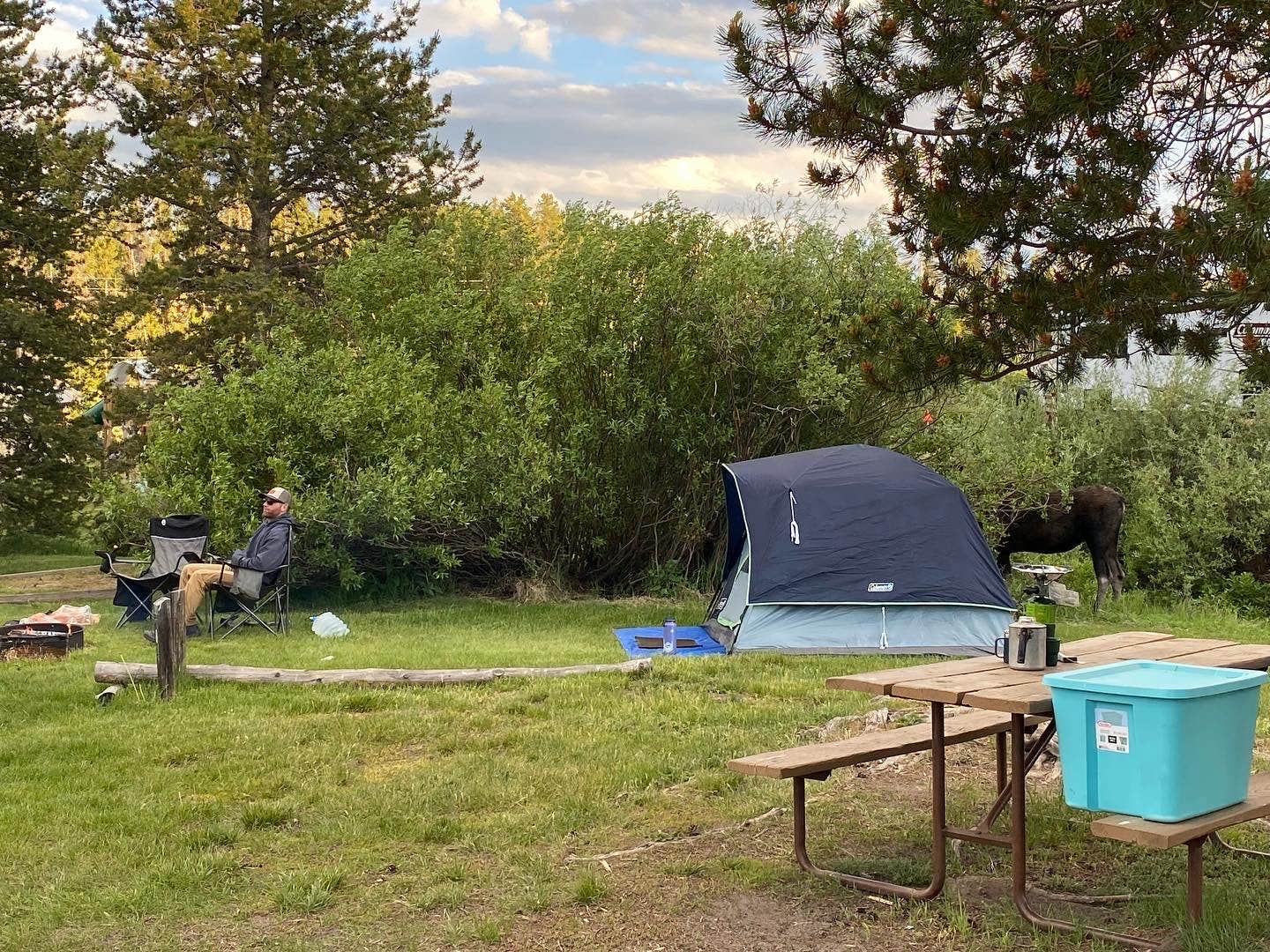 Jessica D.'s photo at Elk Creek Campground near Curecanti National Recreation Area