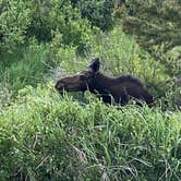 Review photo of Elk Creek Campground by Jessica D., July 13, 2022