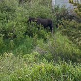 Review photo of Elk Creek Campground by Jessica D., July 13, 2022