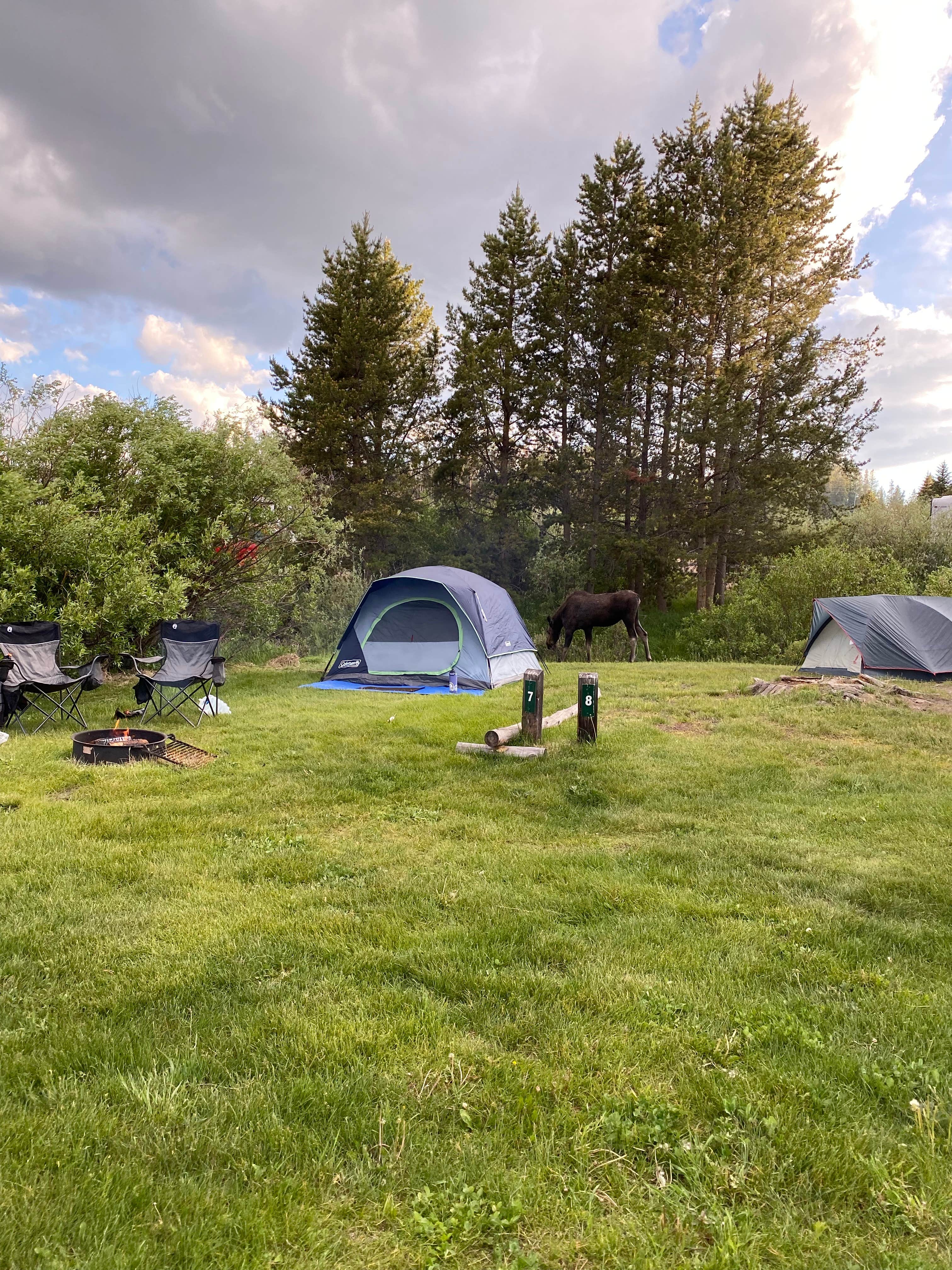 Jessica D.'s photo at Elk Creek Campground near Curecanti National Recreation Area