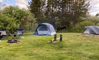 Jessica D.'s photo at Elk Creek Campground near Curecanti National Recreation Area