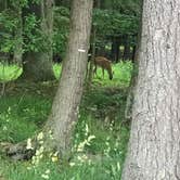 Review photo of Deep Creek Lake State Park Campground by Gina I., July 11, 2022