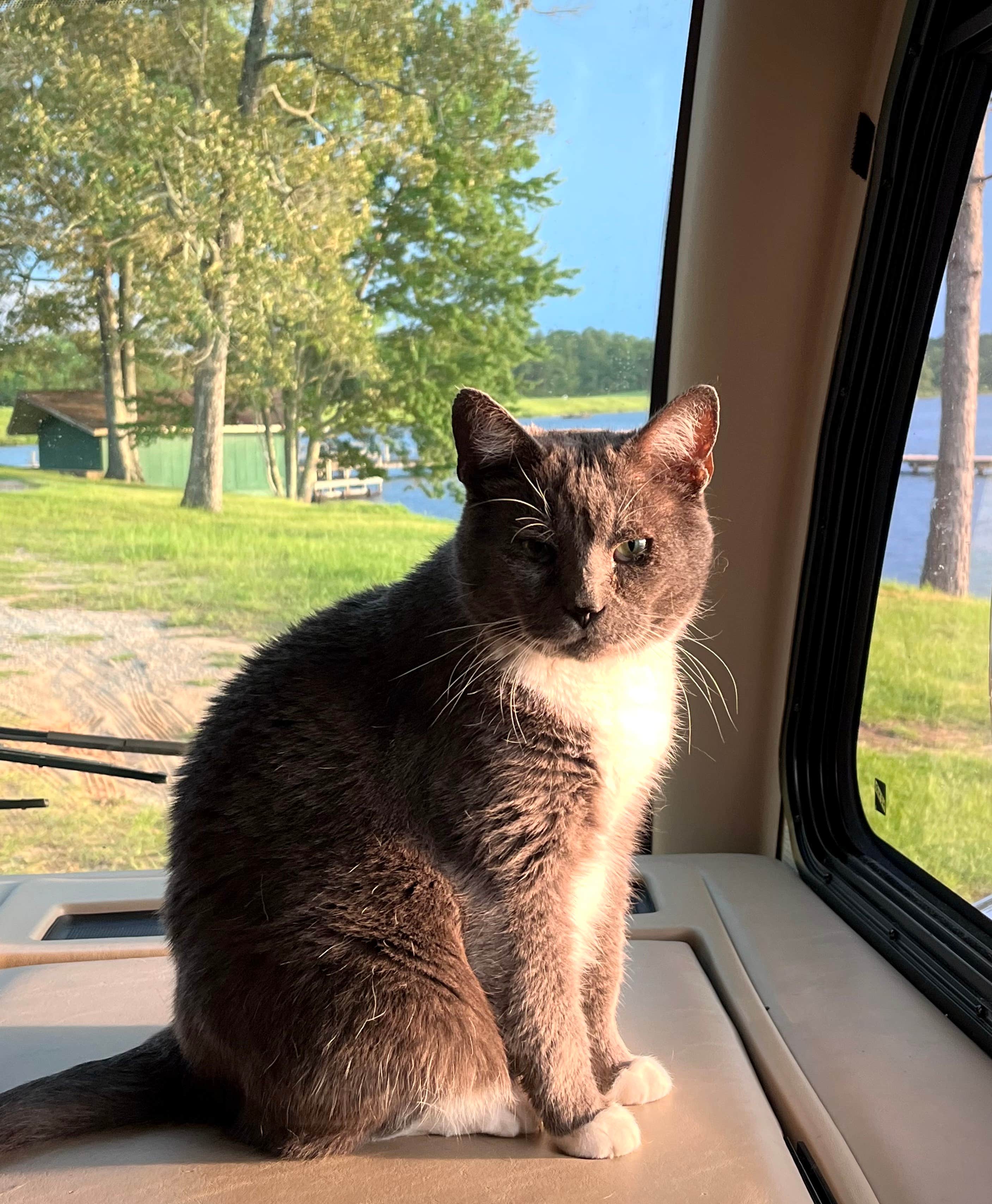 Lauren B.'s photo of camping with pets at Little Black Creek Campground & Park near Richton, MS
