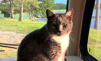 Lauren B.'s photo of camping with pets at Little Black Creek Campground & Park near Foxworth, MS
