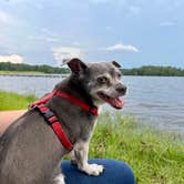 Review photo of Little Black Creek Campground & Park by Lauren B., July 13, 2022