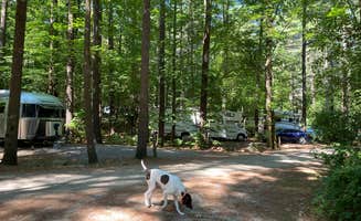 mary F.'s photo at Spacious Skies Minute Man near Auburndale, MA