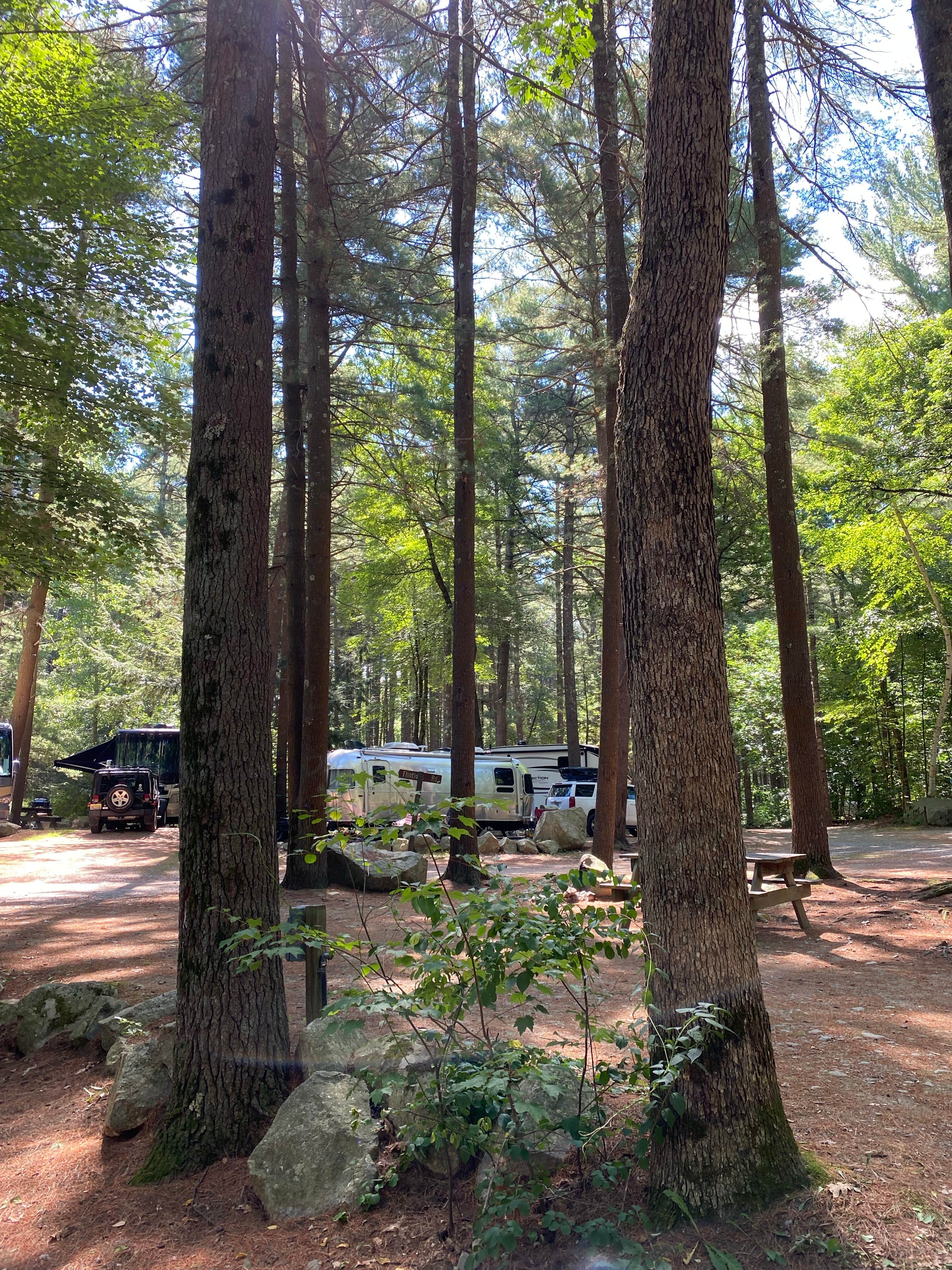 mary F.'s photo of rv camping at Spacious Skies Minute Man near Princeton, MA