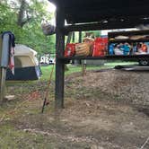 Review photo of Red Bluff Campground by Gwenn W., July 19, 2018