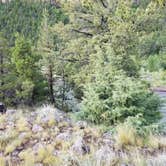 Review photo of Rex Hale Campground by Tarrah C., July 13, 2022