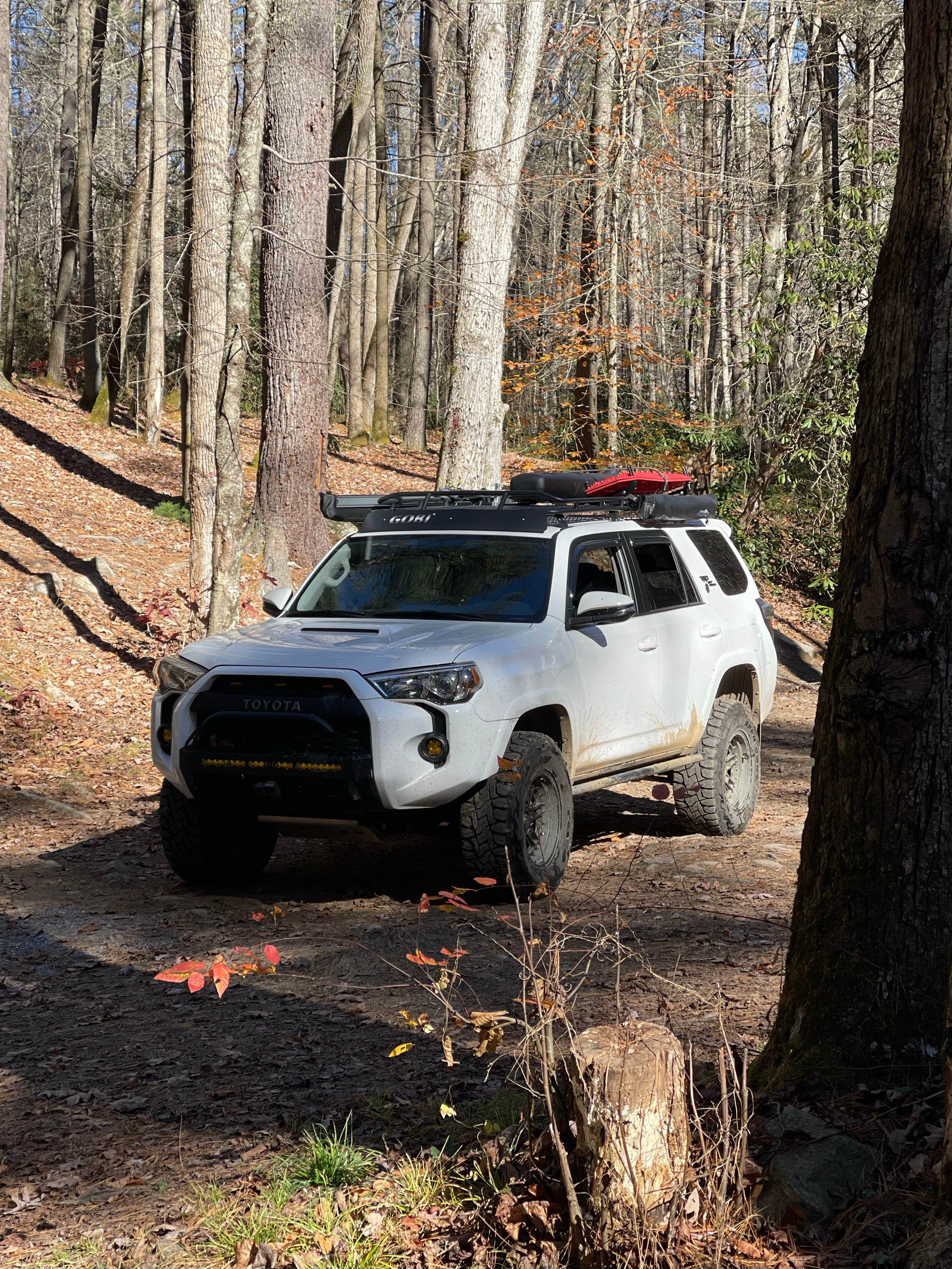 Camper-submitted photo at Hurricane Creek Camp near Nantahala National Forest