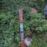 Review photo of Rifle Mountain Park- Sawmill Gulch by Judy J., July 13, 2022