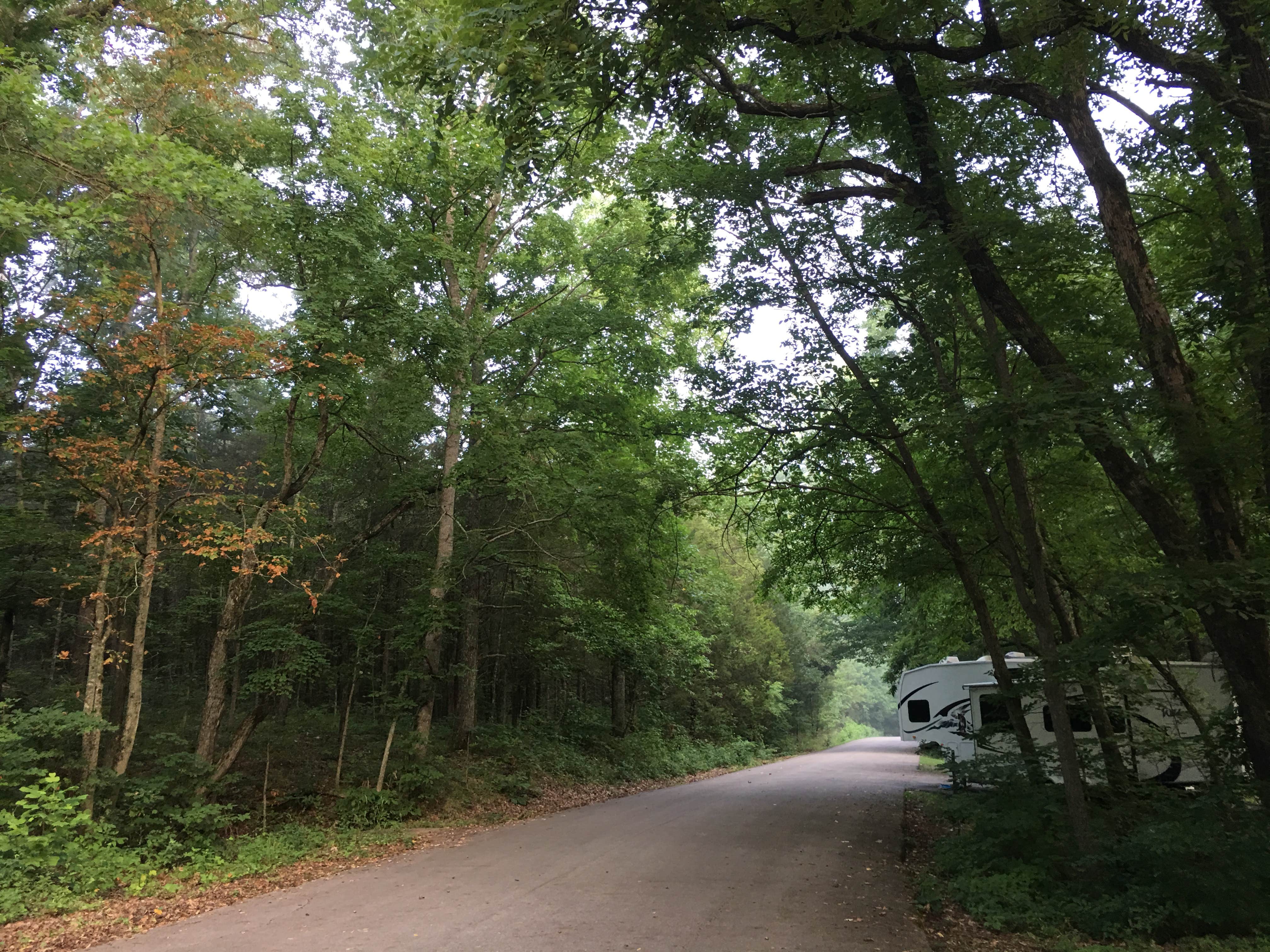 Gwenn W.'s photo of rv camping at Red Bluff Campground near Potosi, MO