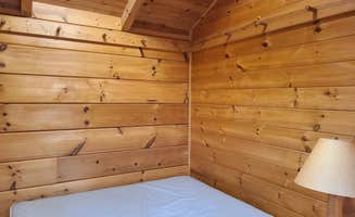 Tarrah C.'s photo of glamping accommodations at Puma — Mark Twain State Park near Higbee, MO