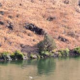 Review photo of Massacre Rocks State Park Campground by Stacey A., July 13, 2022