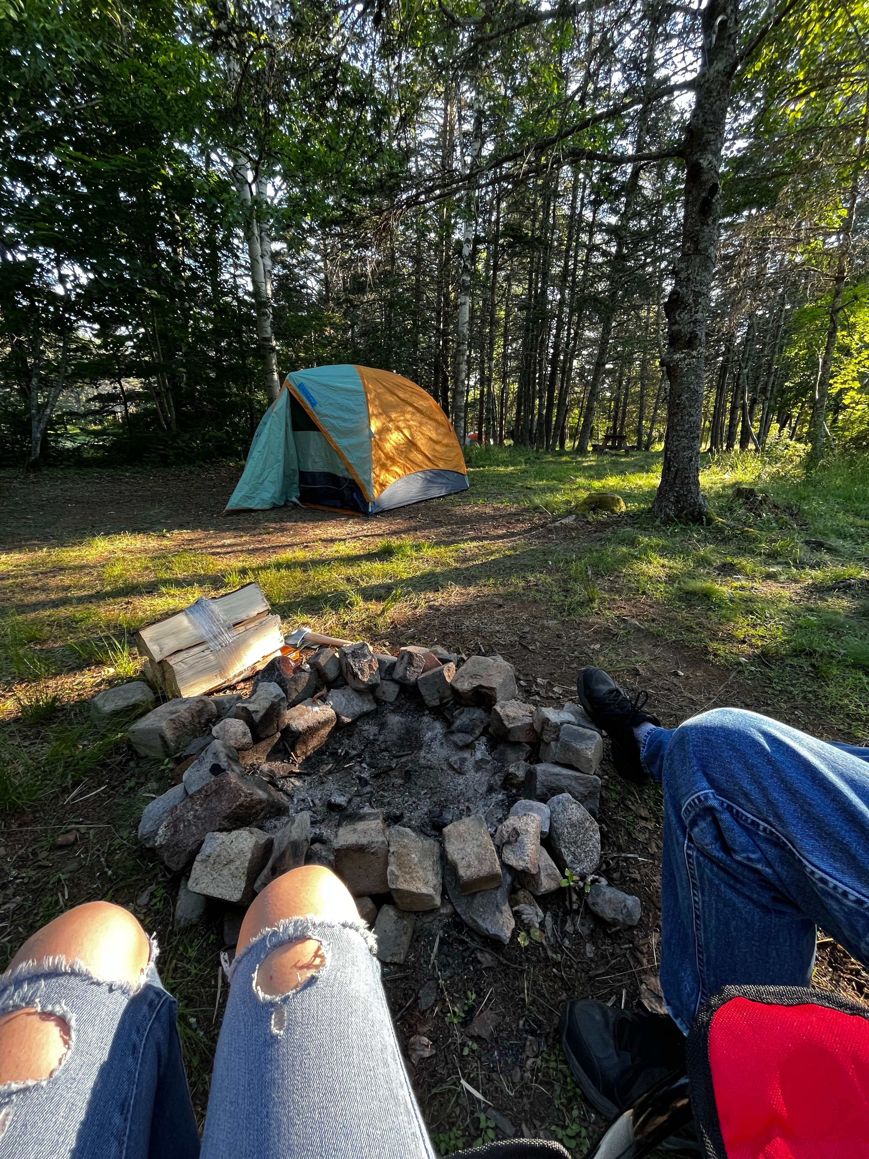 Camper submitted image from Bass Harbor Campground - 1