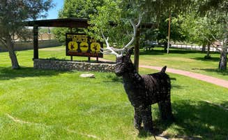 Shannon G.'s photo of camping with pets at Riverside City Park near Hartville, WY