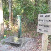 Review photo of Stafford Beach Campground — Cumberland Island National Seashore by phillip L., July 27, 2016
