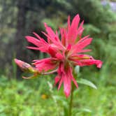 Review photo of Logging Creek by Jean L., July 13, 2022