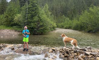 Jean L.'s photo of camping with pets at Logging Creek near Neihart, MT