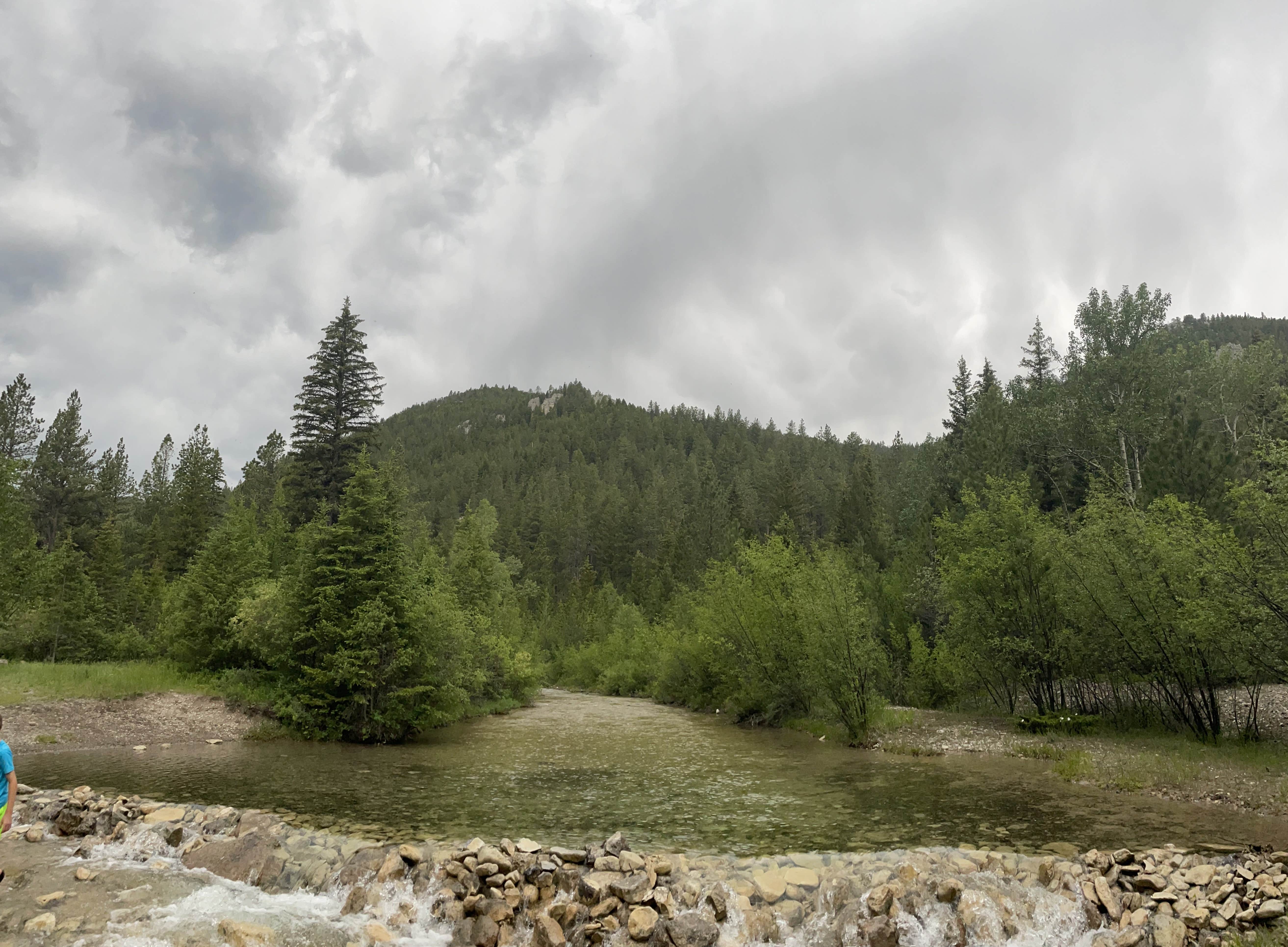 Camper-submitted photo at Logging Creek near Lewis and Clark National Forest
