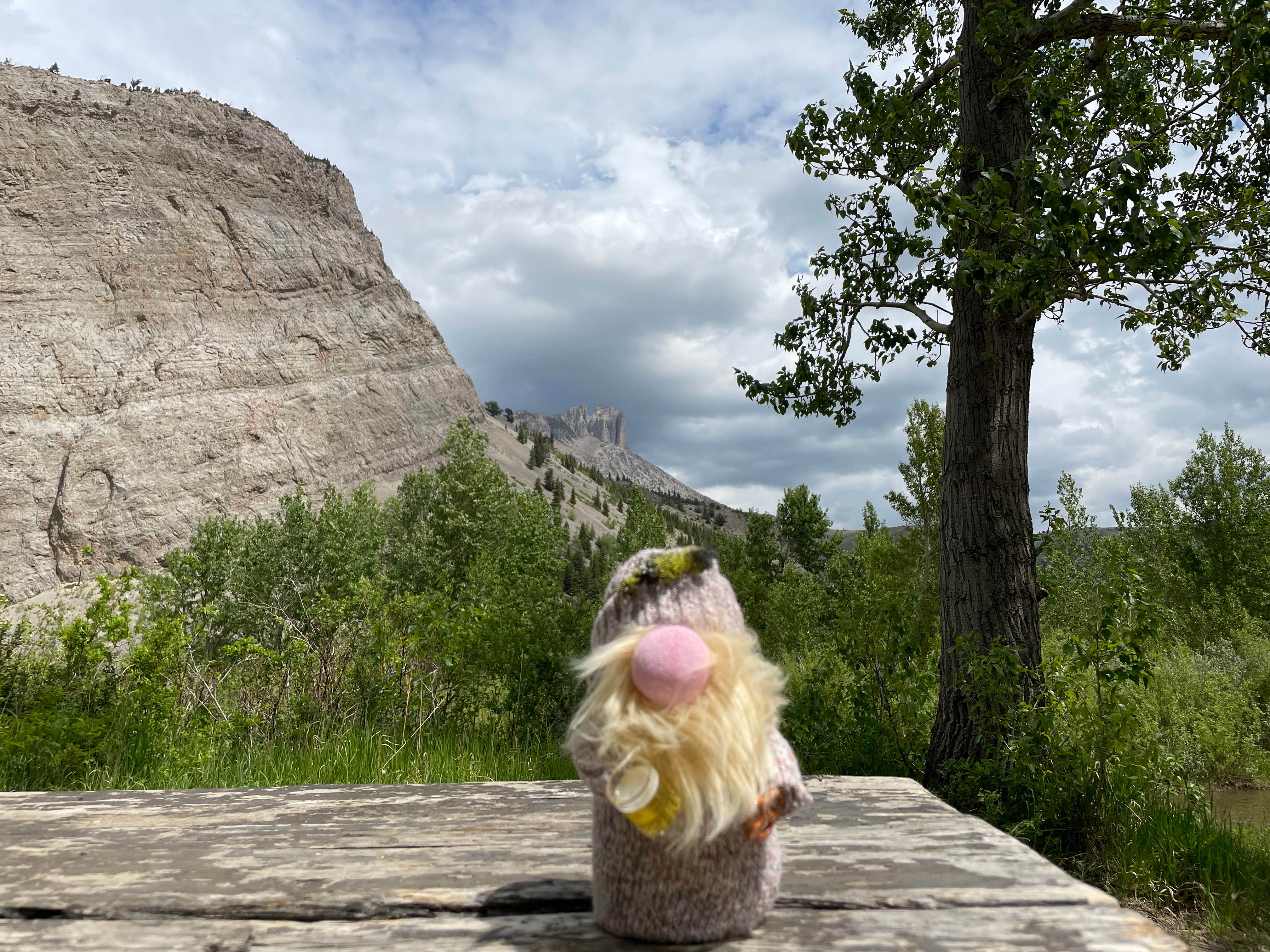Camper-submitted photo at Home Gulch Campground near Augusta, MT