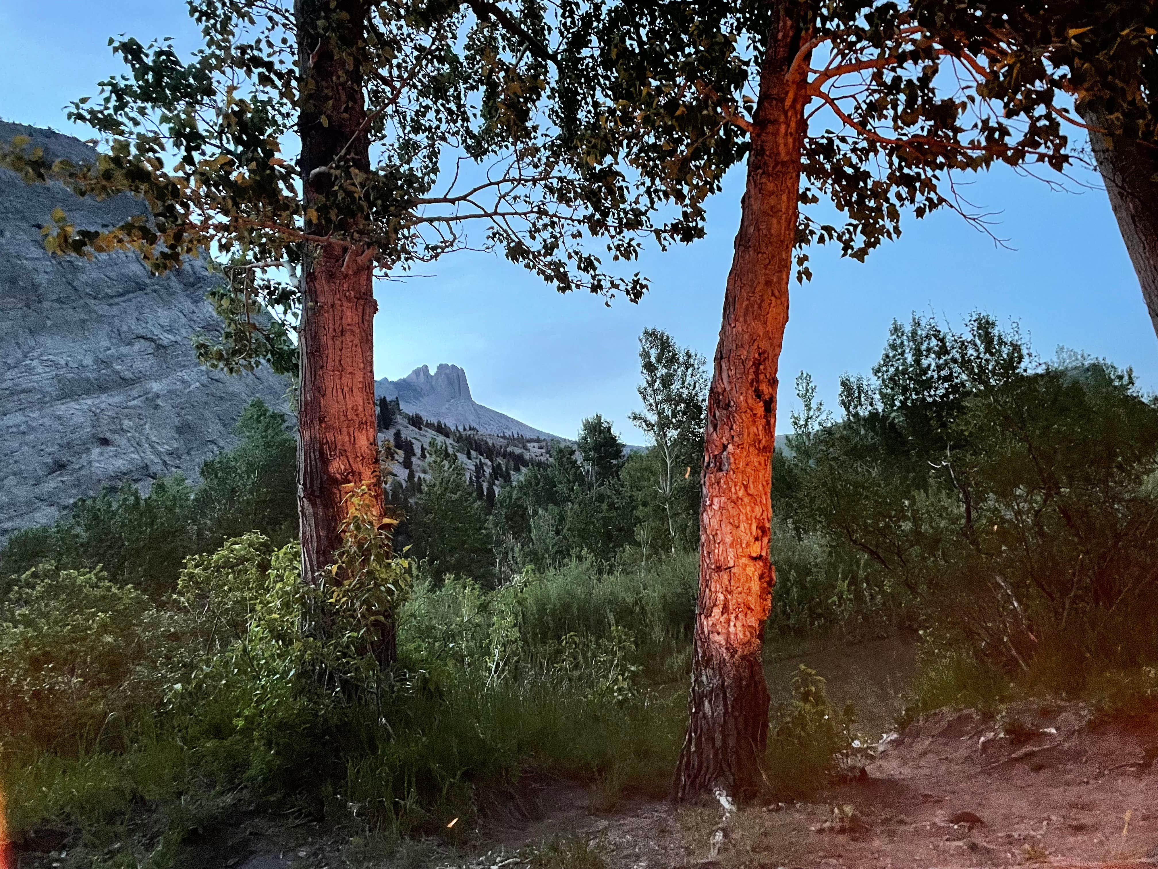 Camping near Kenck Cabin: Home Gulch Campground, Augusta, Montana