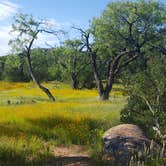 Review photo of Walnut Springs Area — Enchanted Rock State Natural Area by Sarah T., July 19, 2018