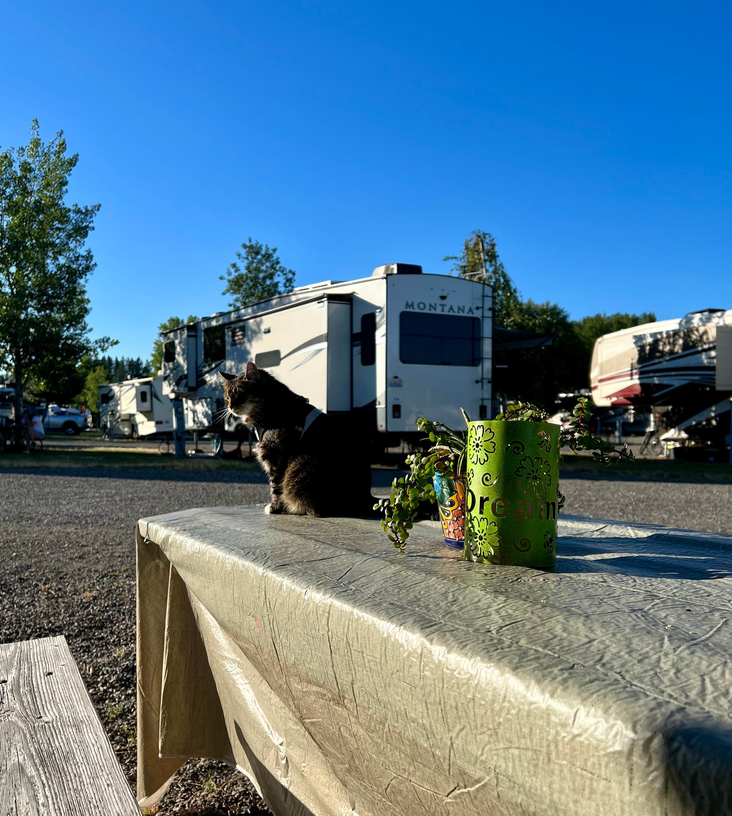 Love4travel T.'s photo of rv camping at Blackwell Island RV Park near Harrison, ID