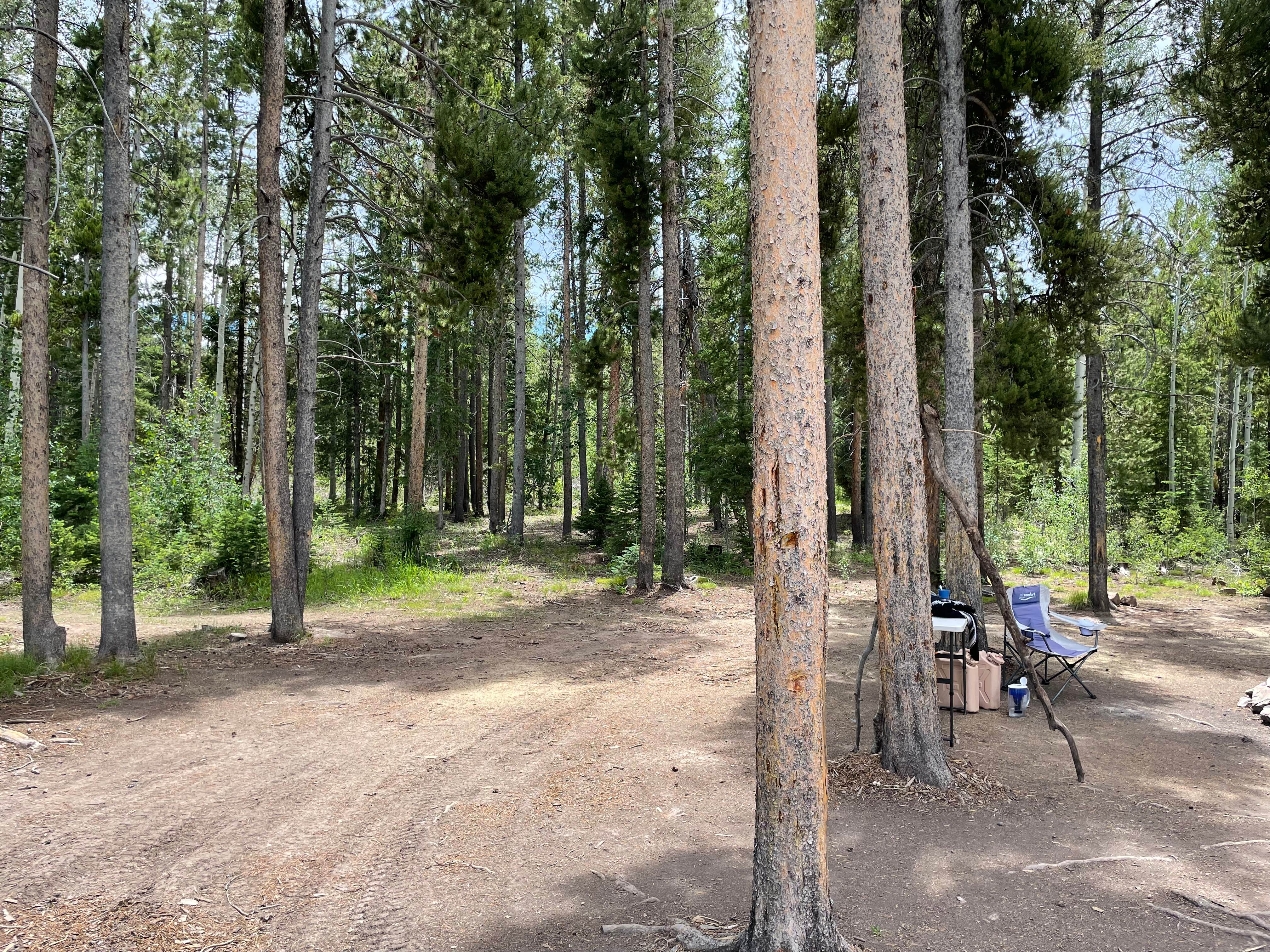 Camper-submitted photo at Yellowjacket Pass near Maybell, CO