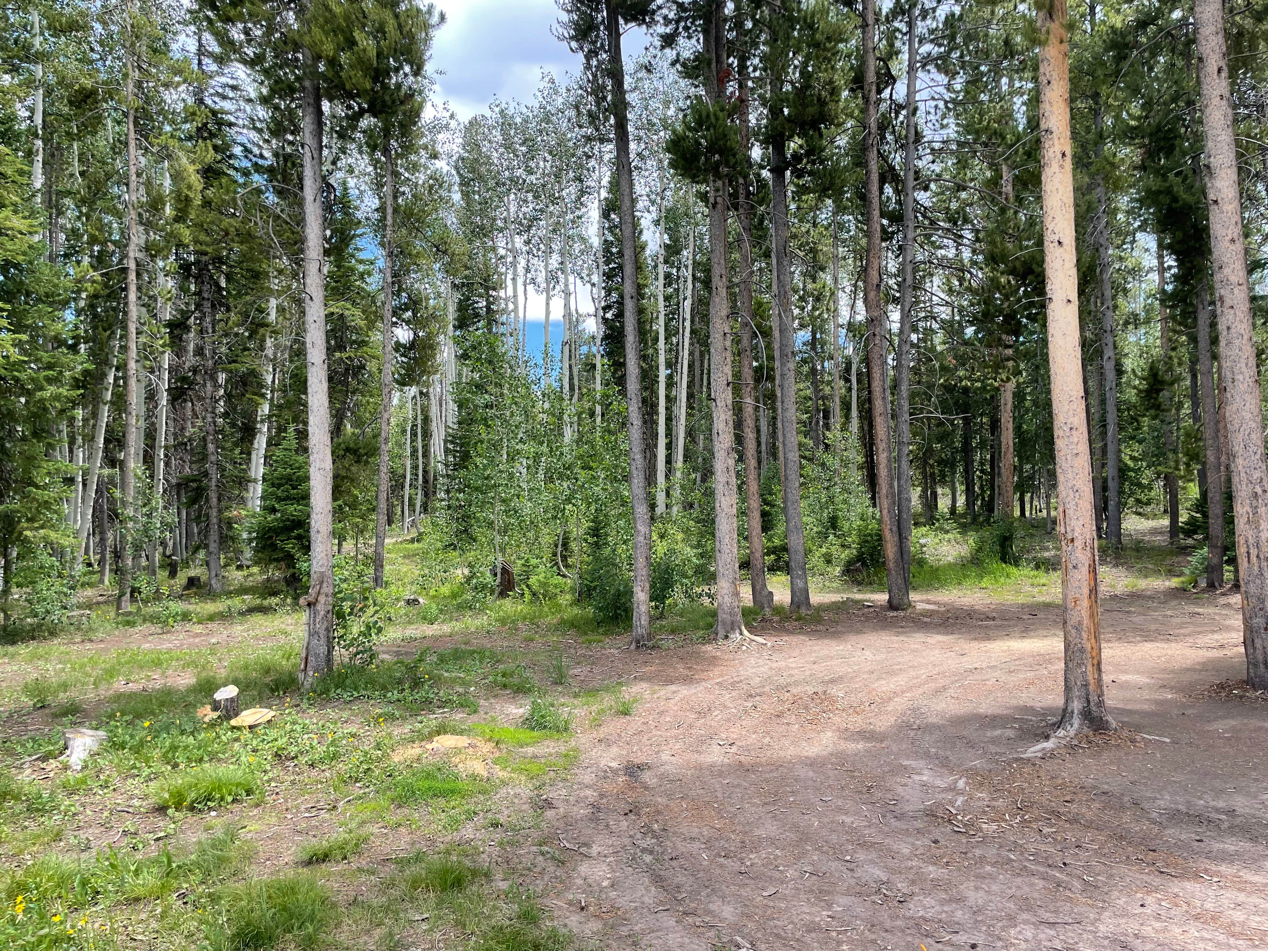 Camper-submitted photo at Yellowjacket Pass near Maybell, CO