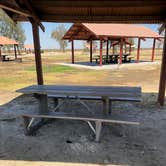 Review photo of Colonel Allensworth State Historic Park Campground by Corinna B., July 1, 2018