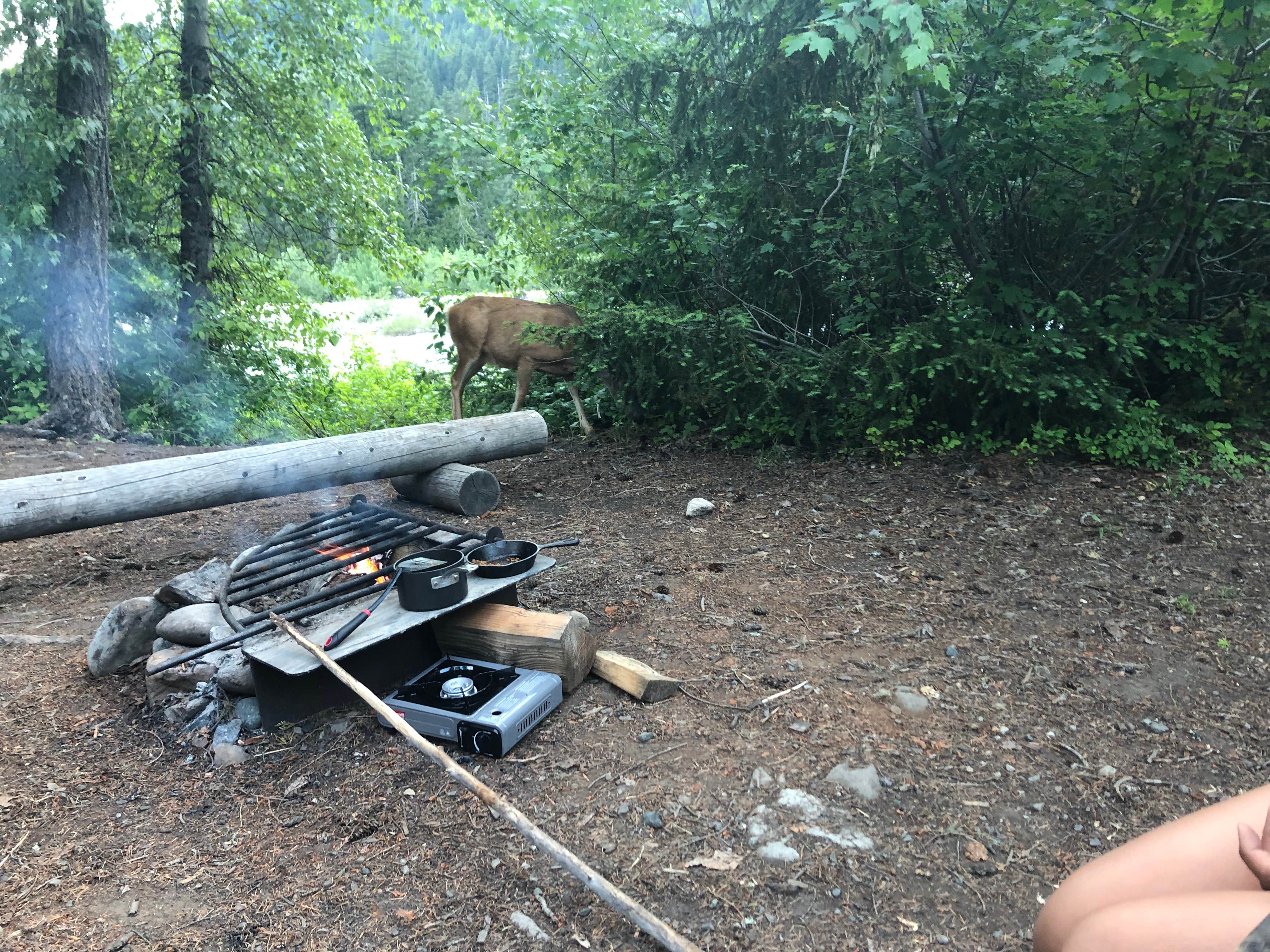 Camper-submitted photo at Red Mountain Campground near Cle Elum, WA