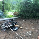 Review photo of Red Mountain Campground by Jacob M., July 13, 2022