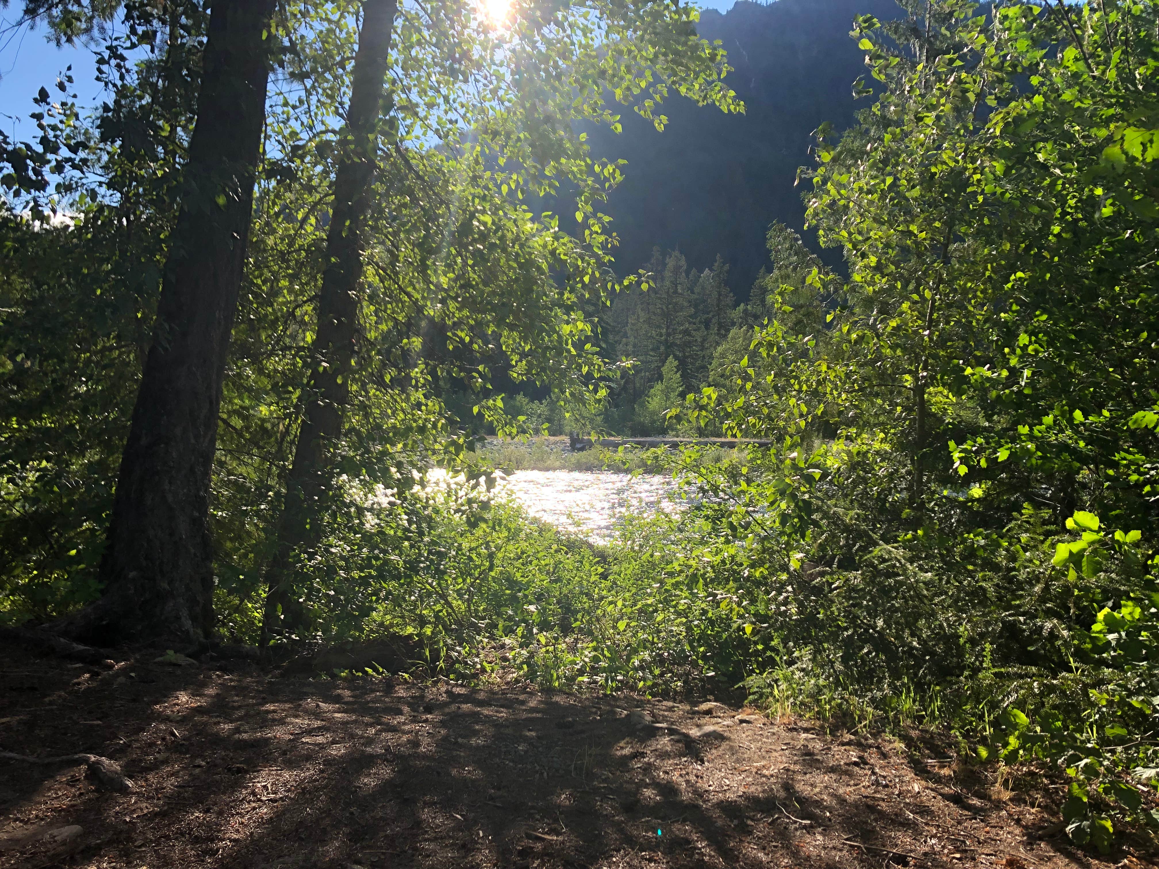 Camping near Thorp Lake: Red Mountain Campground, Roslyn, Washington