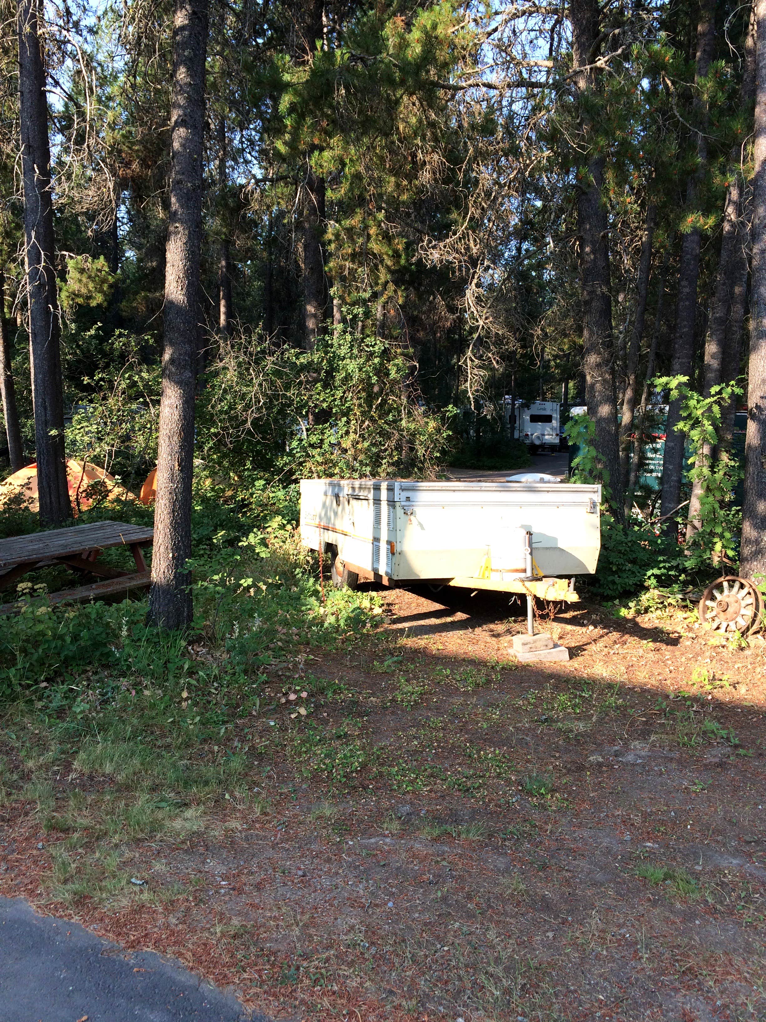 Camper submitted image from San-Suz-Ed RV Park, Campground and Bed & Breakfast - 4