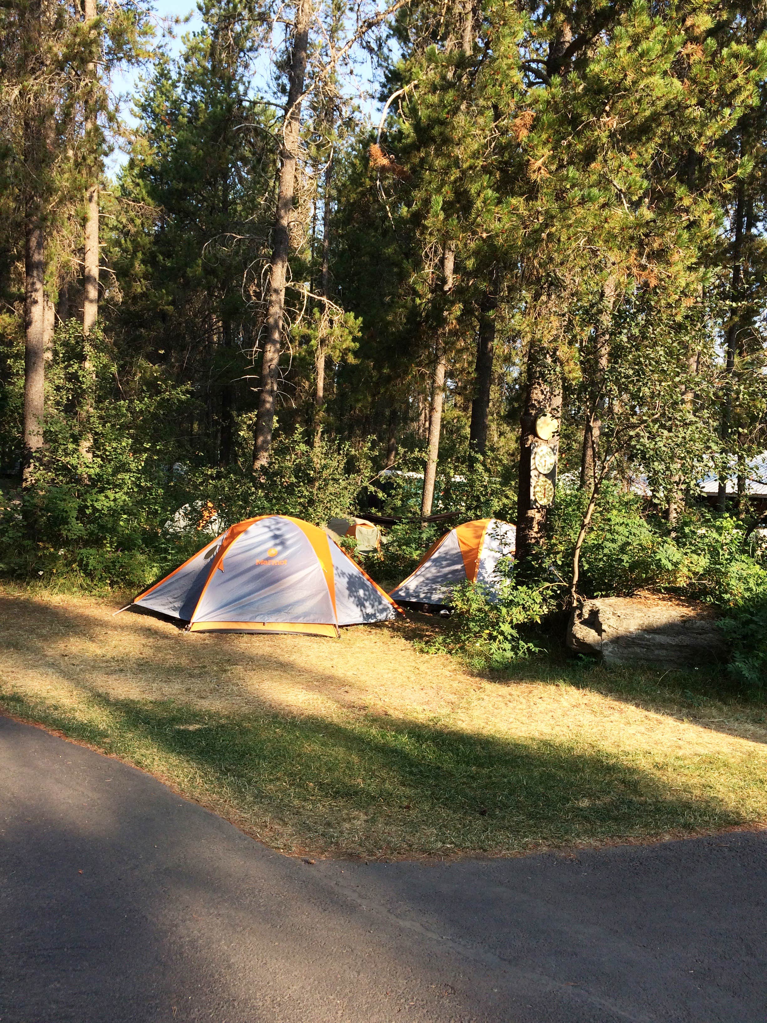 Camper submitted image from San-Suz-Ed RV Park, Campground and Bed & Breakfast - 2