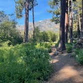 Review photo of Fallen Leaf Campground - South Lake Tahoe by Jeff D., July 14, 2022