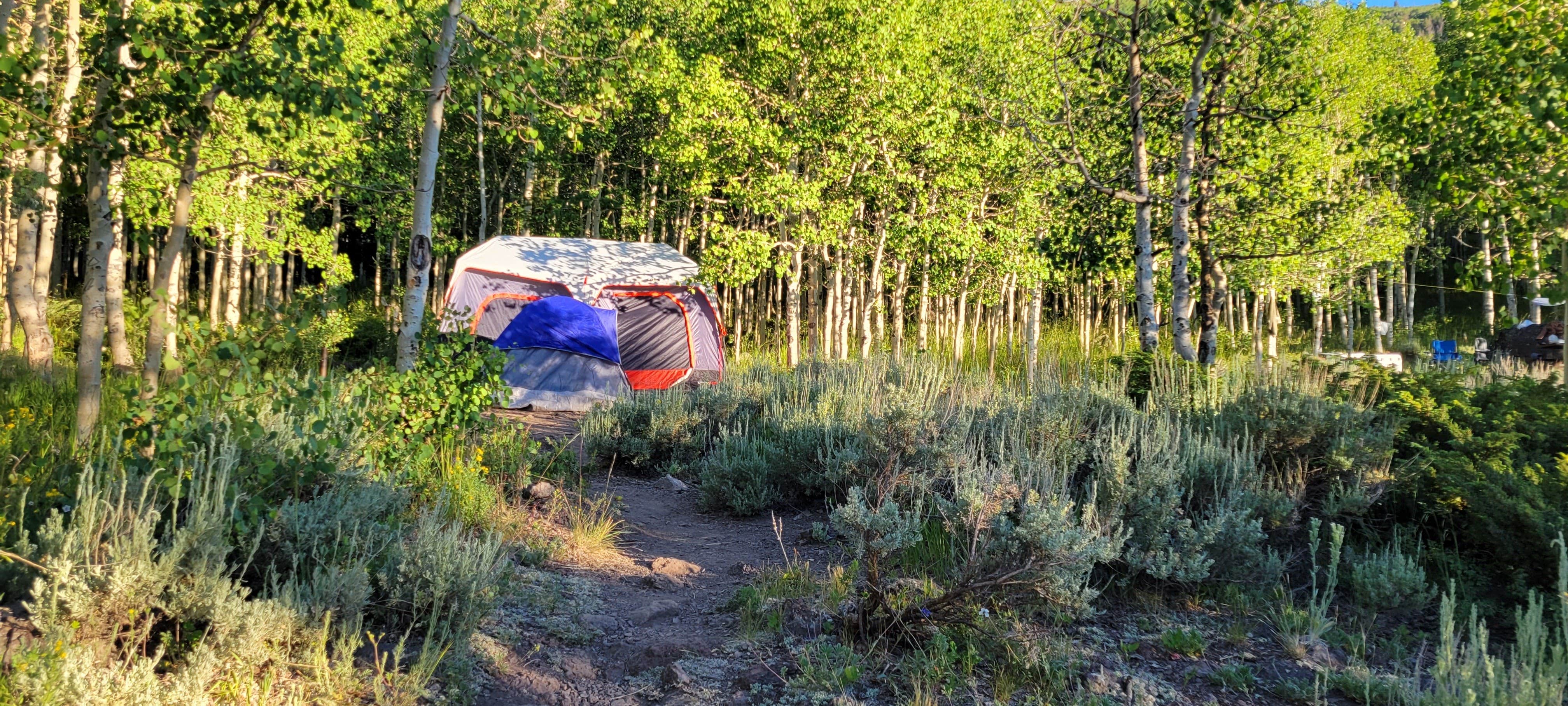 Matt B.'s photo at Mackinaw near Monroe, UT