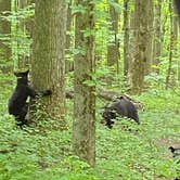 Review photo of Adventure Bound Campground Gatlinburg by padison H., July 14, 2022