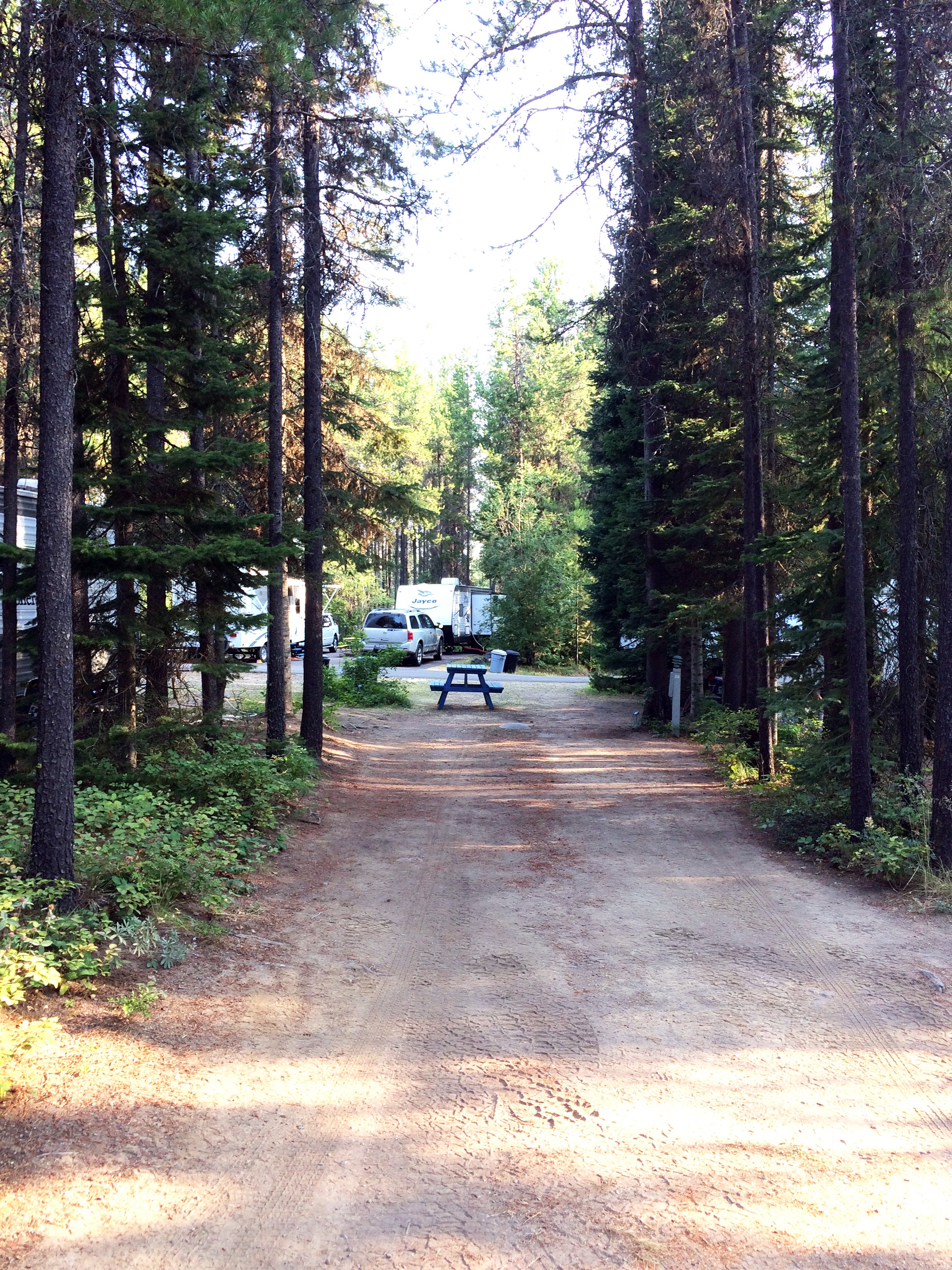 Camper submitted image from San-Suz-Ed RV Park, Campground and Bed & Breakfast - 4
