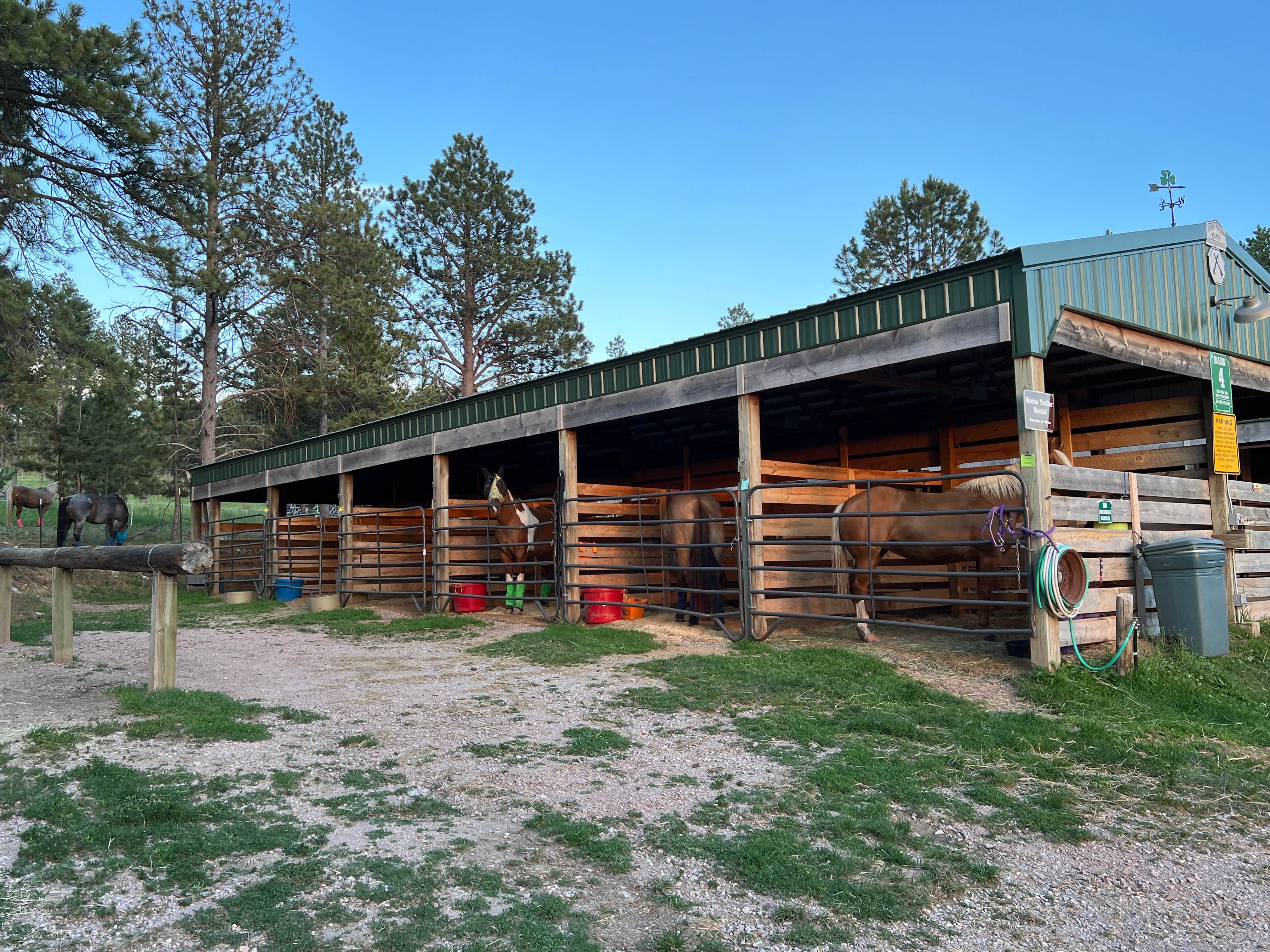 Susan & Kevin W.'s photo of camping with a horse at Broken Arrow Horse and RV Campground near Newcastle, WY