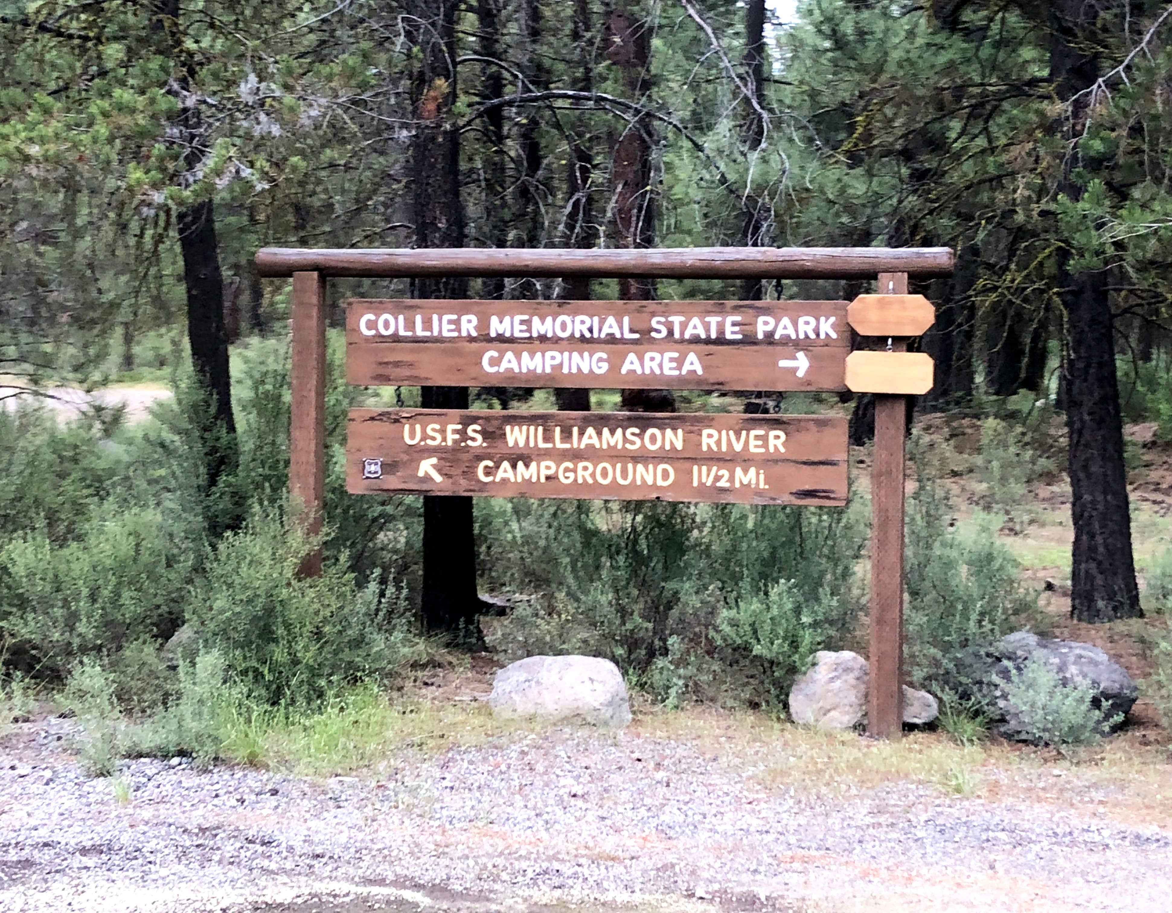 Camper submitted image from Williamson River Campground - 5