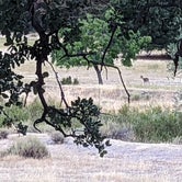 Review photo of Del Valle Regional Park by K R., July 14, 2022