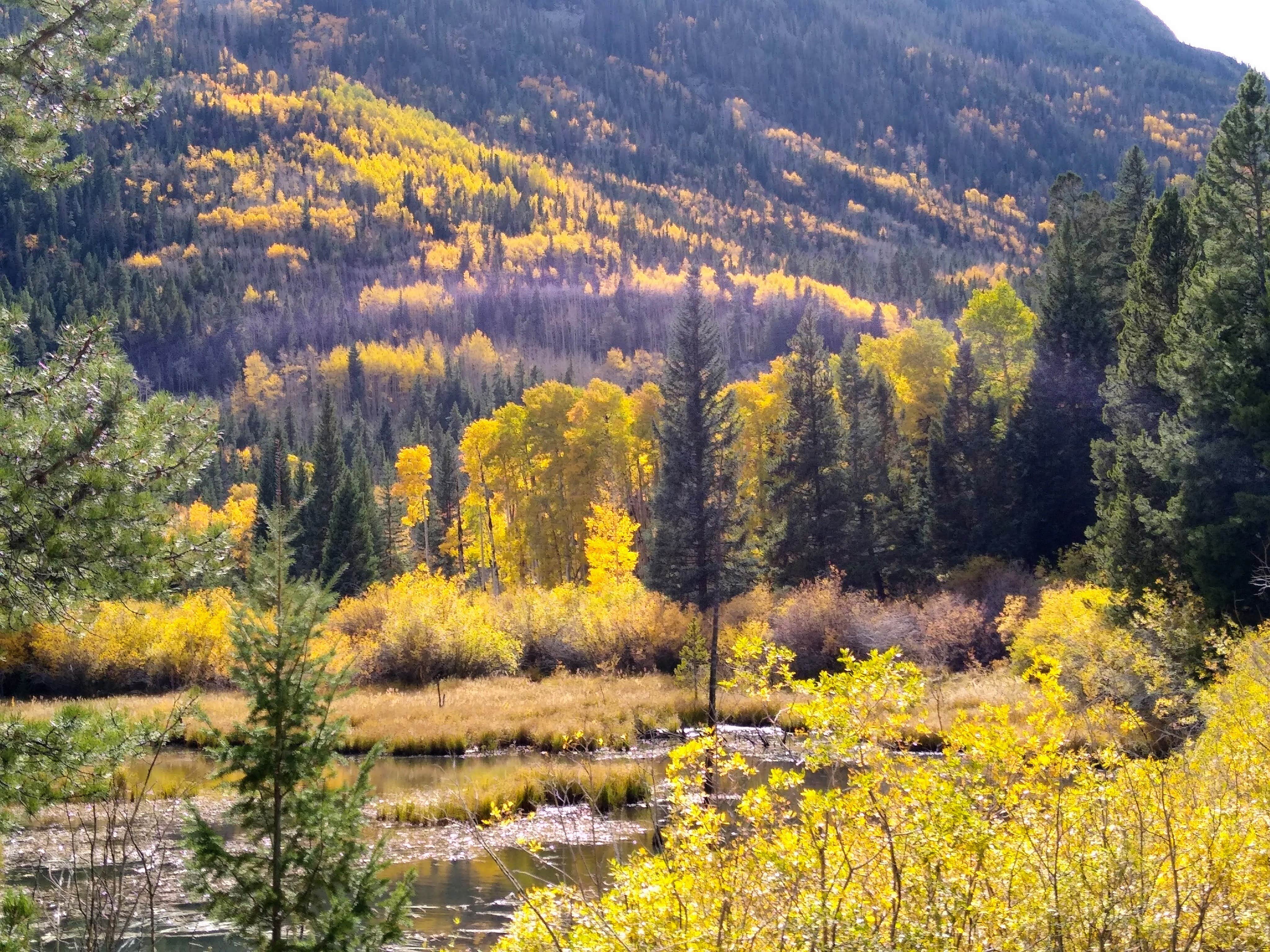 Camper submitted image from Chalk Creek Canyon - 1