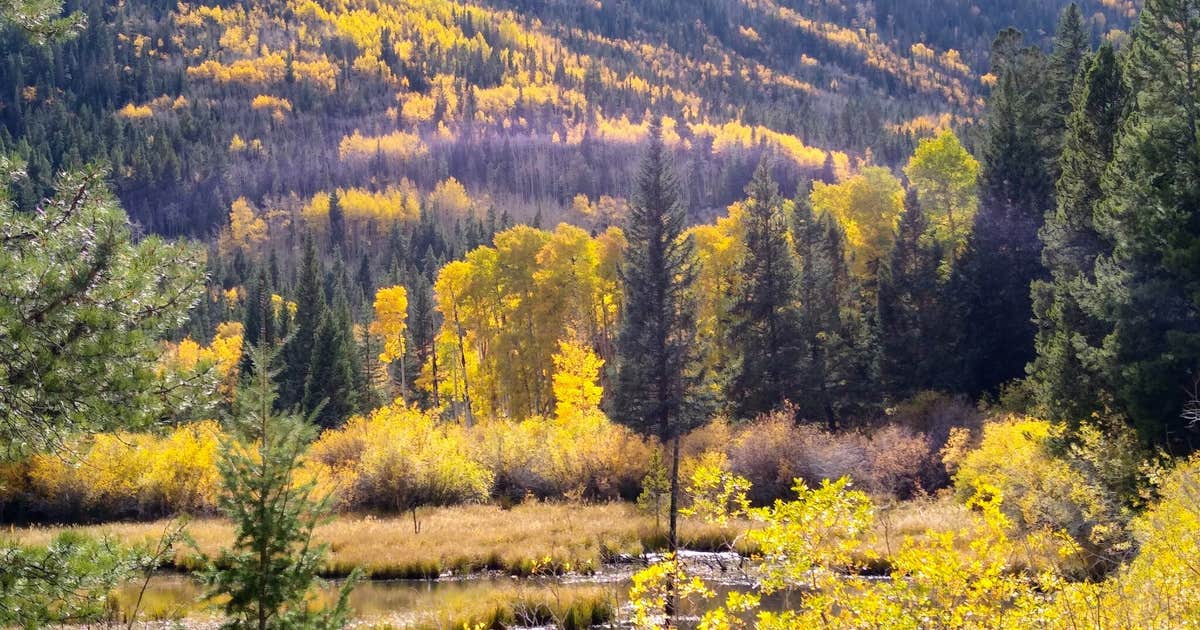 Chalk Creek Canyon
