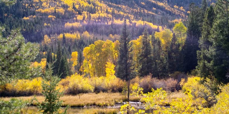 Camper submitted image from Chalk Creek Canyon