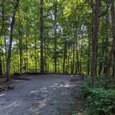 Review photo of Hollofield Area Campground by Jeff K., July 14, 2022